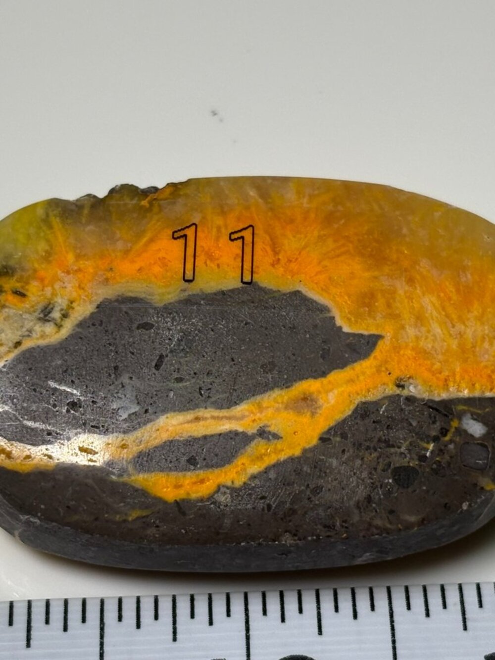 Bumblebee Jasper Polished Freeform Stone #11